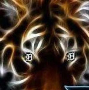 Meet your Posher, Judy